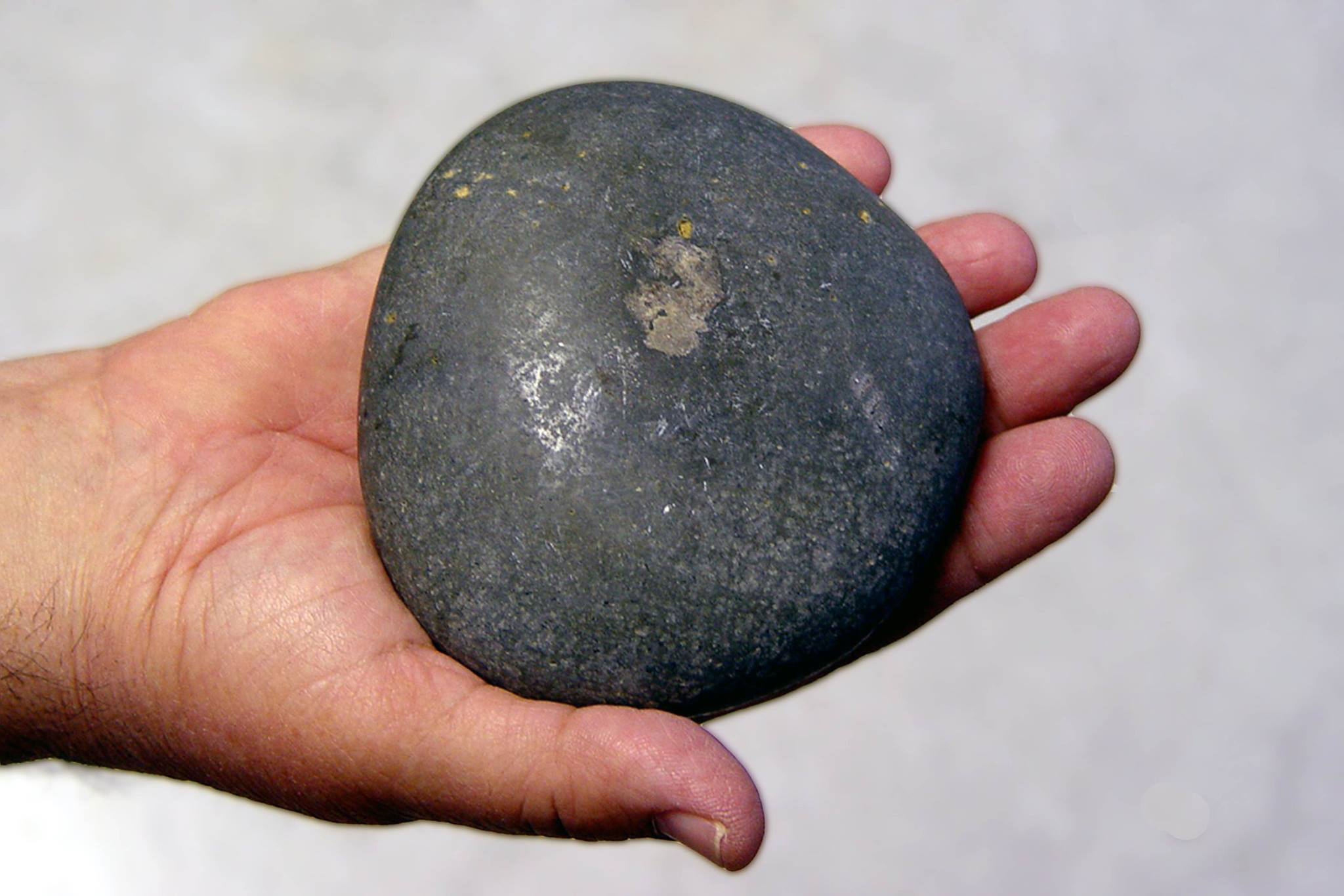 459986062 2747850095388598 5606720190232059146 n